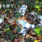 【卒業制作応援プロジェクト2024　参加作品】変遷を経て